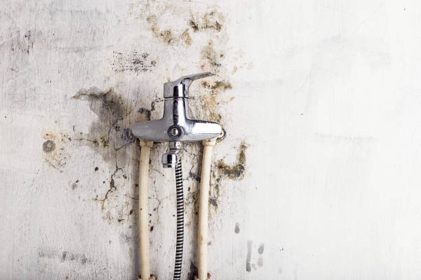 Trusted Guilford Center, CT Mold Removal Experts