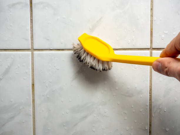 Best Toxic Mold Removal  in Guilford Center, CT