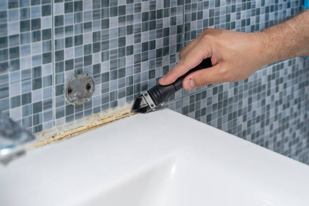 Best Professional Mold Removal  in Guilford Center, CT